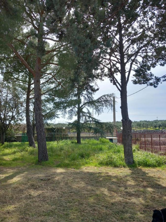 Villa Udi Bitonto Exteriör bild