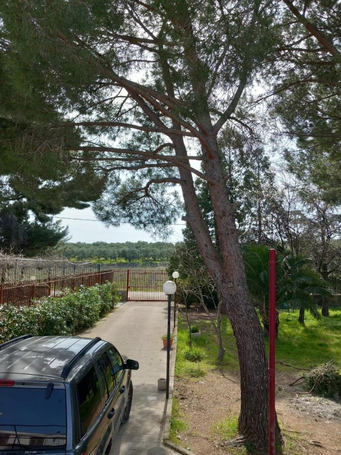 Villa Udi Bitonto Exteriör bild